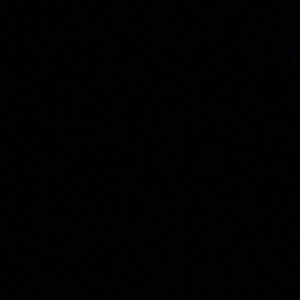 Meet your Posher, Lilly